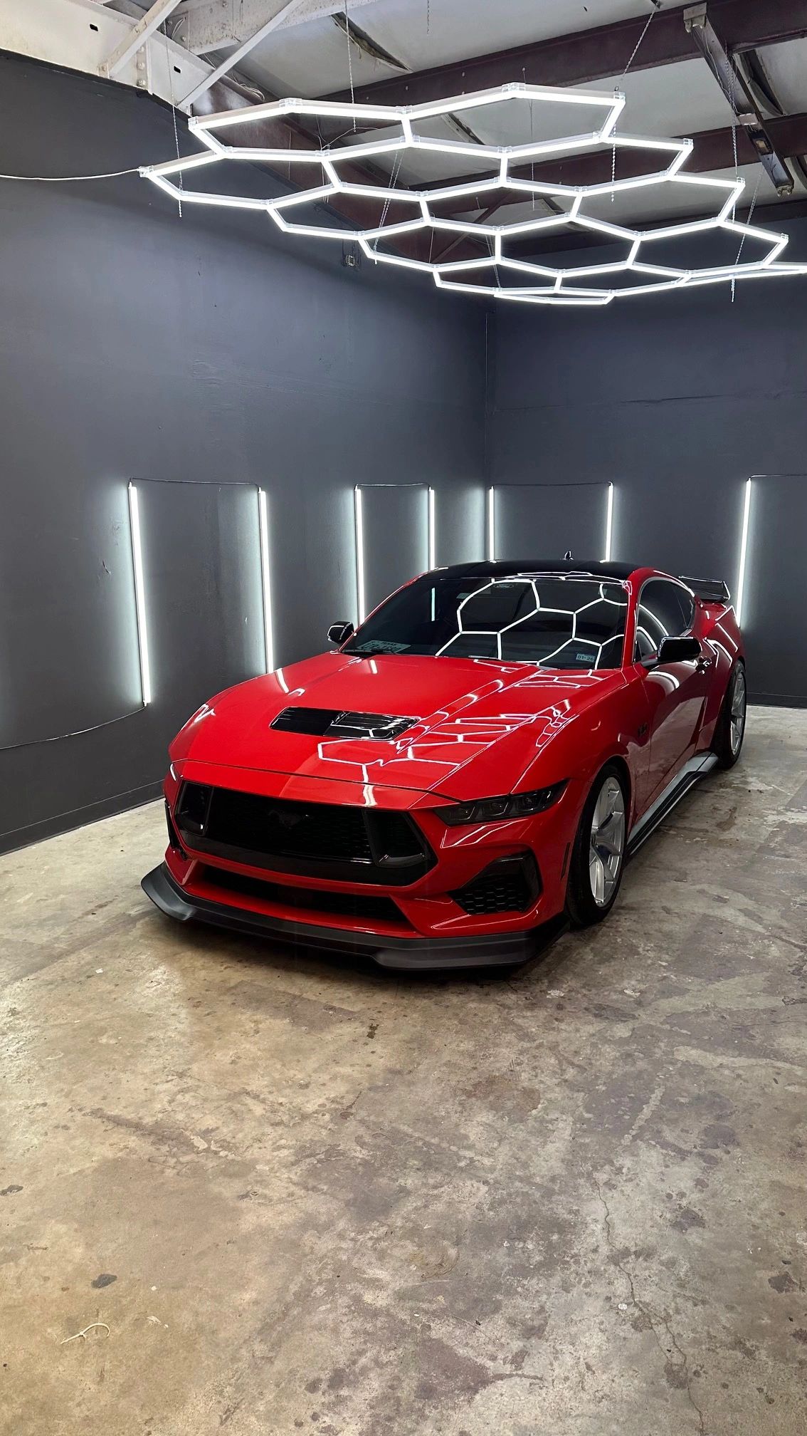 Vinyl Wrap / Paint Protection Film